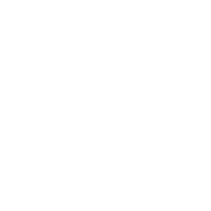 logo vw w